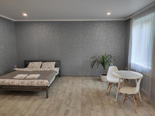 Две уютные квартиры в центре города Дзержинка - New apartments, Kryvyj Rih