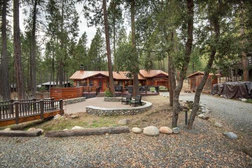 Yosemite's Buss Stop - image 3