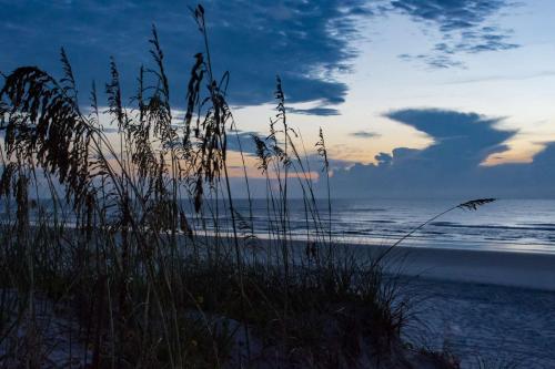 Gathering Shore