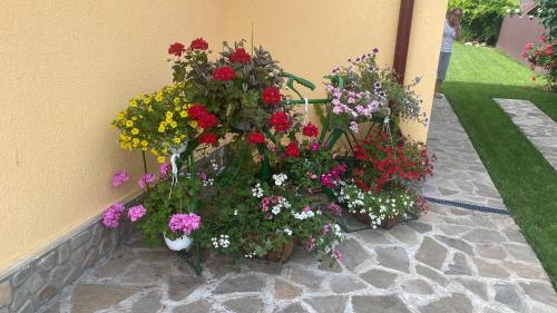 Casa de vacanta - Ograda cu flori