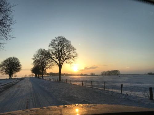 Königsgut Emmericher Eyland