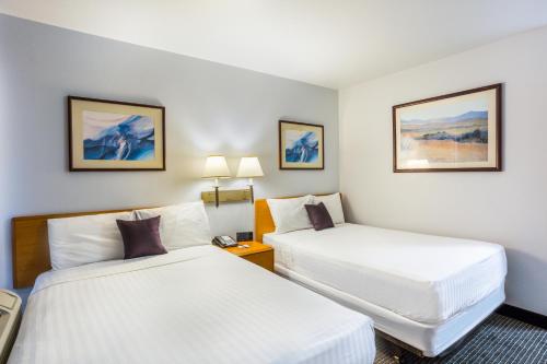 2 twin beds