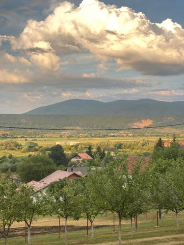Holiday home Plami - image 5