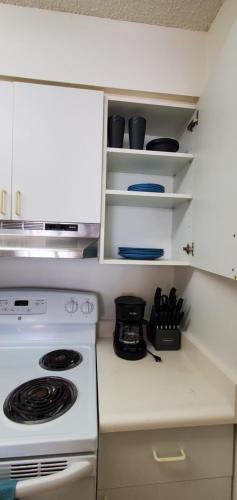 Travel Nurses - 2 Bedroom 2 Bath with 2 Parking car rental available - image 9