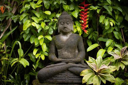 Prana at Ramashala - 2 Yoga Studios Walk to Beach villa - image 4