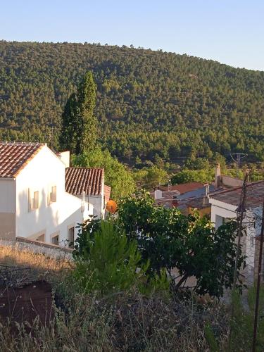  La Casa de Maria in Bogarra