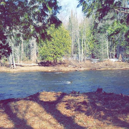 Black River Lodge - image 16
