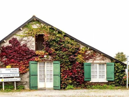 Gîte Le Gavre, 3 pièces, 5 personnes - FR-1-306-1152 - Location saisonnière - Le Gâvre