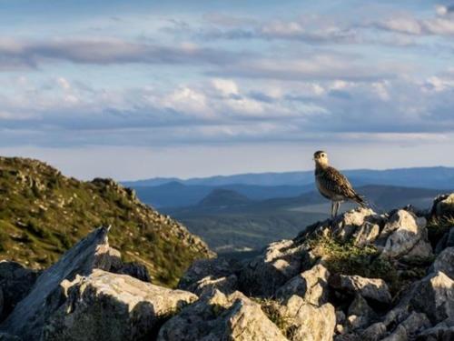 Gîte Saint-Front 4 pièces 6 personnes - FR-1-582-267 - image 8