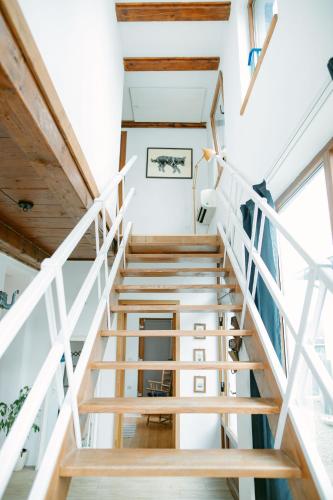 Casa Domestic, a modern guest house in the transylvanian countryside in Viștea De Sus