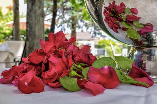 Swiss Historic & Garten Hotel Villa Carona - image 6