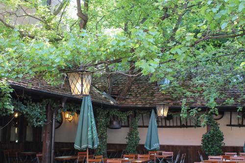 Hotel Petzengarten 5
