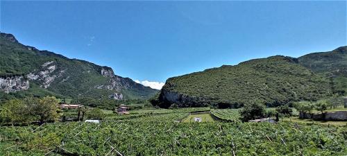  La Masera Holiday in Nago-Torbole