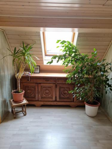 Pension Zollern in Sipplingen