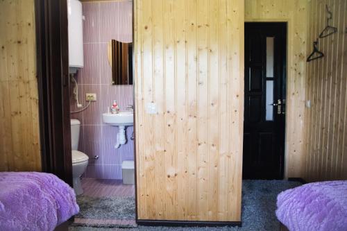 Стежка в гори, Wierchowina (zdjęcie 10)