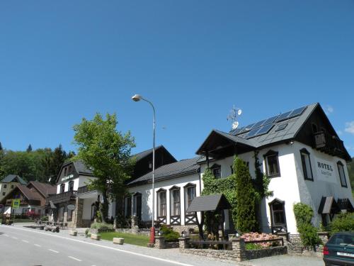 Hotel Lesní dům