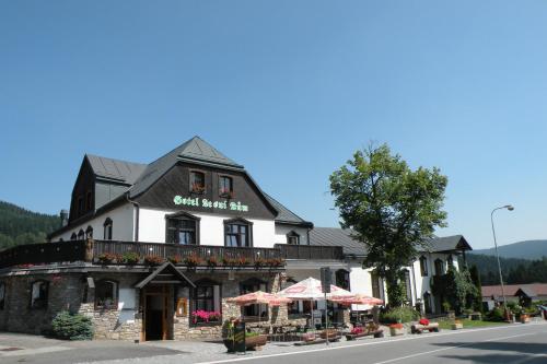 Hotel Lesní dům - Janské Lázne