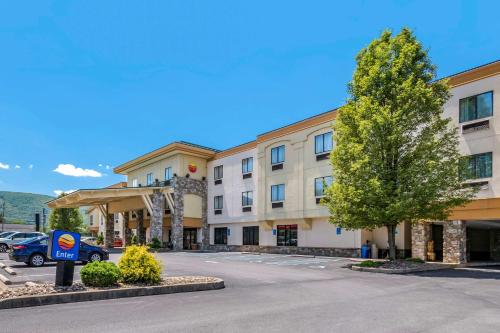 Comfort Inn Williamsport