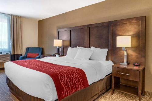 1 king bed