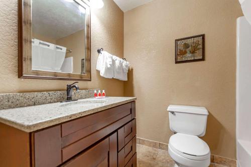 Econo Lodge Black Hills - image 6