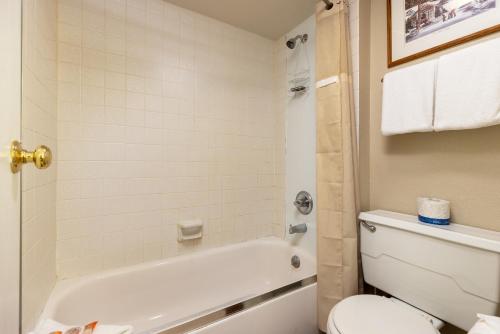 1095 Wild Irishman condo - image 10