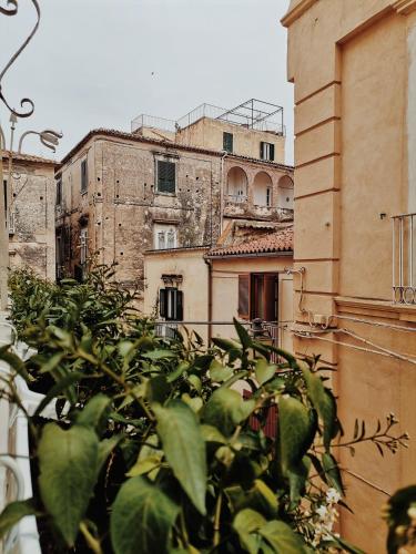 Palazzo Mottola Tropea - image 14
