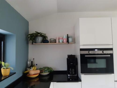 Vakantiehuis met hottub en barrelsauna in Buurtschap Giethmen