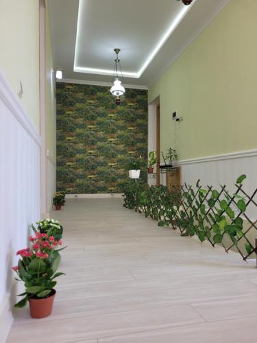 Palvelut, Hotel Dika in Kutaisi