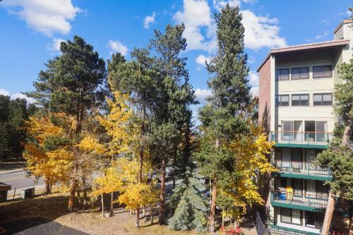 Cedars #2 Apartment - image 6