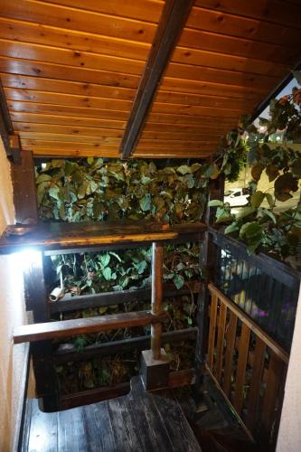 شرفة/ تراس, Passion Fruit Apartment in عسقلان