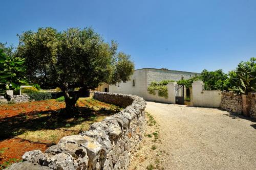Masseria Trulli e Vigne - image 4