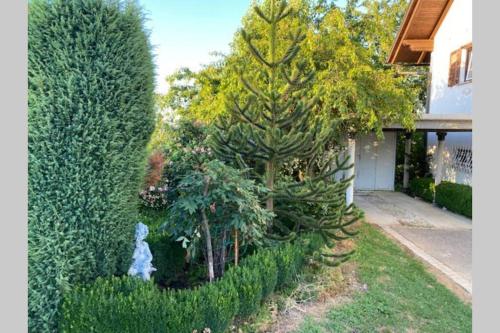 Apartma Jožica in Tonček (Apartma Jozica in Toncek) in Dobrna