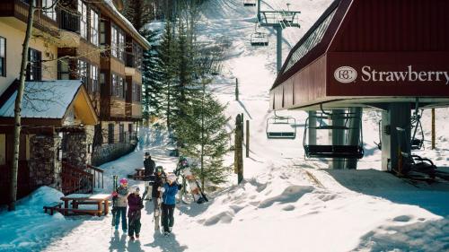 Horizon Pass T03 - image 6