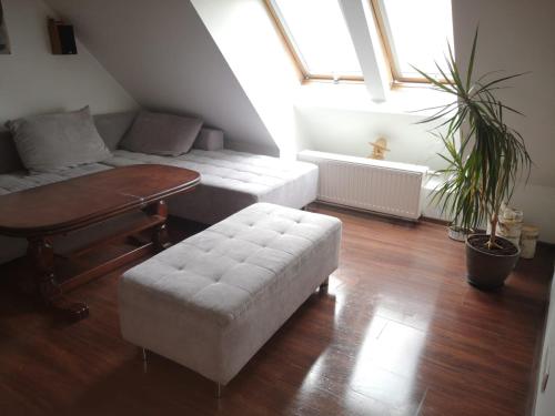 Apartamenty LENA 16 TWOJE poddasze