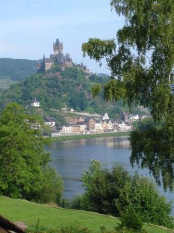 Haus Mosella Cochem Zell Price Address Reviews