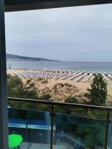Albena Suite