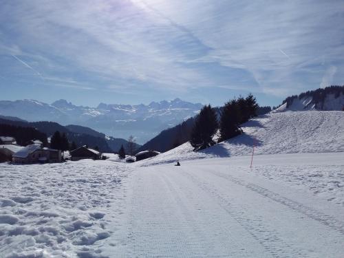 Les Terrasses du Mont blanc