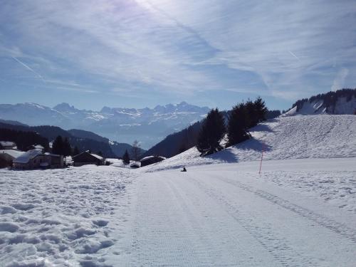 Les Terrasses du Mont blanc - image 13