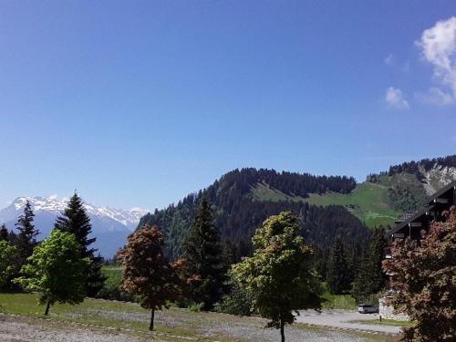 Les Terrasses du Mont blanc - image 7