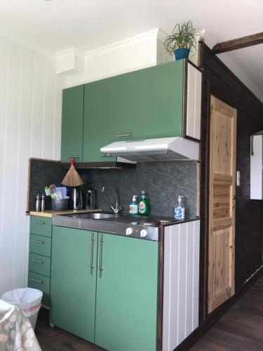 주방, Private apartments!Oppdal Alpintun, Skisenter-Stølen in 옵달