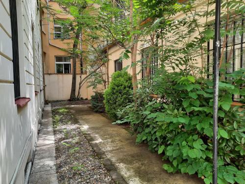 Pension City Center & L`Opera - image 10