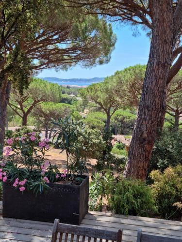 Joli mazet clim vue St Tropez