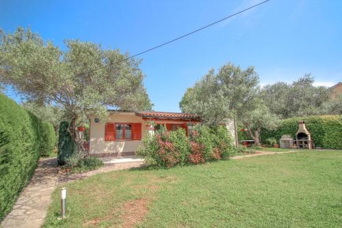 Timea A4, Zambratija (Foto 3)