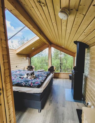 Polar Lights Lodge in Sirkka