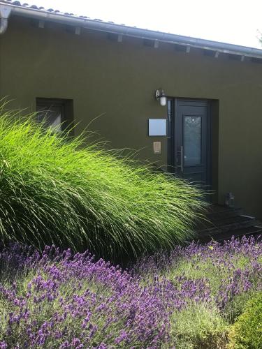 Haus Lavendel
