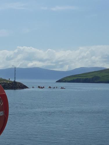 Dingle Wheelhouse