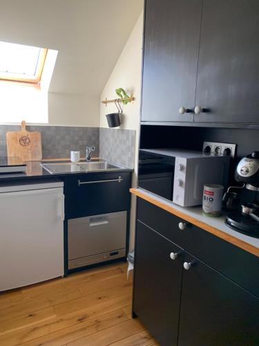  Martin- pêcheur in Court-Saint-Étienne