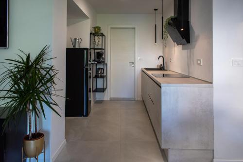 Apartmaji na placu