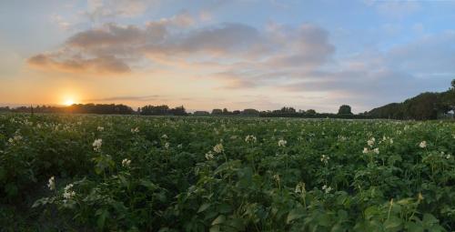  Polderhoek in Woubrugge
