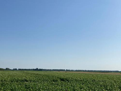  Polderhoek in Woubrugge